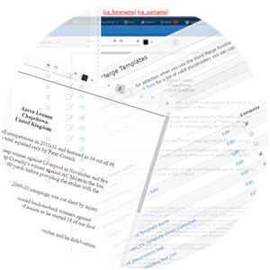 find-format-editor.jpg